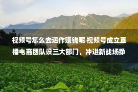 视频号怎么去运作赚钱呢 视频号成立直播电商团队设三大部门，冲进新战场挣钱“养家”？