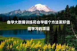 自学大数据训练和自学哪个方法更好值得学习的项目