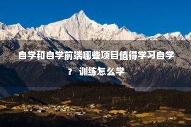 自学和自学前端哪些项目值得学习自学？ 训练怎么学