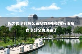 视力检测到怎么看视力 护眼攻略+眼病自测超全方法来了