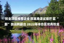 创业项目推荐企业 群英角逐试锋芒 匠“新”独运脱颖出 2022年丰台区优秀创业项目遴选线上展示圆满