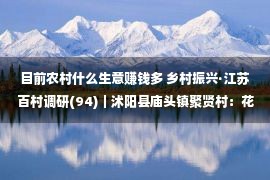 目前农村什么生意赚钱多 乡村振兴·江苏百村调研(94)｜沭阳县庙头镇聚贤村：花木＋电商，铺就富民路