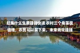 赶集什么生意赚钱快速 农村三个角落很值钱，农民可以买下来，未来肯定赚钱。