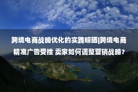 跨境电商战略优化的实践晾晒|跨境电商精准广告受挫 卖家如何调整营销战略？