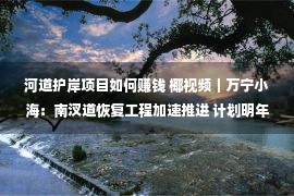 河道护岸项目如何赚钱 椰视频｜万宁小海：南汊道恢复工程加速推进 计划明年3月竣工