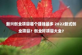 新兴创业项目哪个赚钱最多 2022新式创业项目？创业好项目大全？