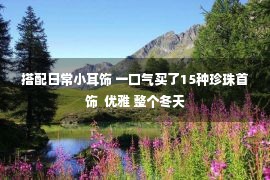 搭配日常小耳饰 一口气买了15种珍珠首饰  优雅 整个冬天