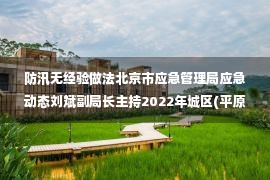 防汛无经验做法北京市应急管理局应急动态刘斌副局长主持2022年城区(平原区)防汛工作经验交流视频会