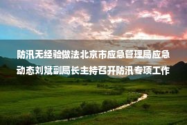 防汛无经验做法北京市应急管理局应急动态刘斌副局长主持召开防汛专项工作经验交流视频会