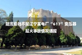 防汛经验不足辽宁某电厂“617”变压器起火事故情况通报