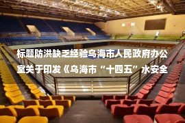 标题防洪缺乏经验乌海市人民政府办公室关于印发《乌海市“十四五”水安全保障规划》的通知