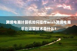 跨境电商计算机如何操作wish跨境电商平台运营技术是什么？