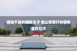 赚钱不易的幽默句子 老公劳苦打拼很疼爱的句子