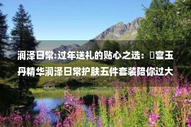 润泽日常:过年送礼的贴心之选：氣宫玉丹精华润泽日常护肤五件套装陪你过大年