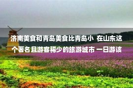 济南美食和青岛美食比青岛小  在山东这个著名且游客稀少的旅游城市 一日游该怎么办？