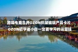 跨境电商合并OZON批量编辑产品卡片  OZON初学者小白一定要学习的运营技巧