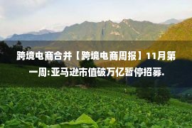 跨境电商合并【跨境电商周报】11月第一周:亚马逊市值破万亿暂停招募.