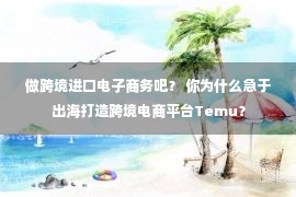 做跨境进口电子商务吧？ 你为什么急于出海打造跨境电商平台Temu？