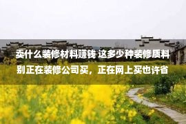 卖什么装修材料赚钱 这多少种装修质料别正在装修公司买，正在网上买也许省下好多少万！