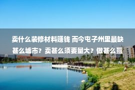 卖什么装修材料赚钱 而今屯子州里最缺甚么墟市？卖甚么须要量大？做甚么赢利？