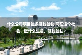 什么公司项目最多赚钱最快 现在这个社会，做什么生意，赚钱最快？