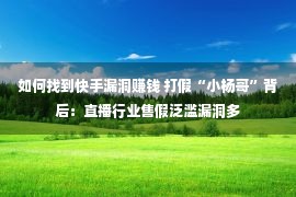 如何找到快手漏洞赚钱 打假“小杨哥”背后：直播行业售假泛滥漏洞多