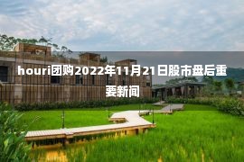 houri团购2022年11月21日股市盘后重要新闻