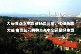 大头做点小生意 驻场费高昂、代理商拿大头 由盈转亏的共享充电宝还是好生意吗？一线