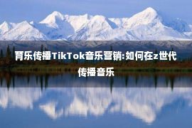 育乐传播TikTok音乐营销:如何在z世代传播音乐