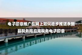 电子印章推广在网上如何稳步推进永新县税务局应用税务电子印章