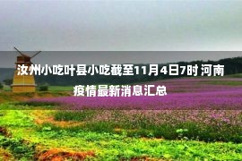 汝州小吃叶县小吃截至11月4日7时 河南疫情最新消息汇总