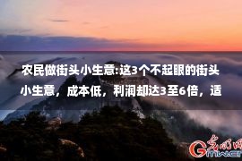 农民做街头小生意:这3个不起眼的街头小生意，成本低，利润却达3至6倍，适合农民