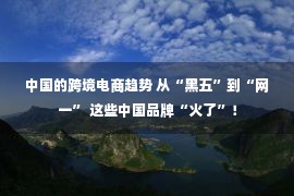 中国的跨境电商趋势 从“黑五”到“网一” 这些中国品牌“火了”！