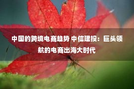 中国的跨境电商趋势 中信建投：巨头领航的电商出海大时代