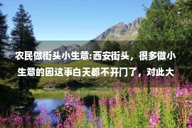 农民做街头小生意:西安街头，很多做小生意的因这事白天都不开门了，对此大家怎么看