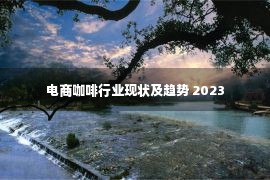 电商咖啡行业现状及趋势 2023