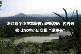 湛江哪个小生意好做:温州瑞安：内外兼修 让农村小店实现“逆生长”