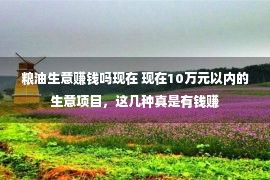 粮油生意赚钱吗现在 现在10万元以内的生意项目，这几种真是有钱赚