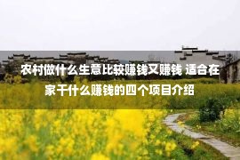 农村做什么生意比较赚钱又赚钱 适合在家干什么赚钱的四个项目介绍