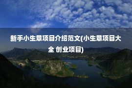 新手小生意项目介绍范文(小生意项目大全 创业项目)