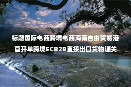 标题国际电商跨境电商海南自由贸易港首开单跨境ECB2B直接出口货物通关