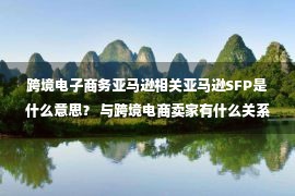 跨境电子商务亚马逊相关亚马逊SFP是什么意思？ 与跨境电商卖家有什么关系？