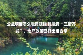 公益项目怎么融资赚钱 稳融资“三箭齐发”，地产政策已打出组合拳