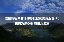 爱国短视频古诗仲冬枇杷花美诗五首:枇杷原为冬心树 花抵北风寒