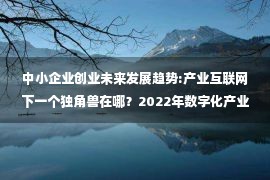 中小企业创业未来发展趋势:产业互联网下一个独角兽在哪？2022年数字化产业高峰论坛邀你“看见未来”