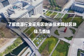 了解能源行业采用区块链技术现状区块链几条链