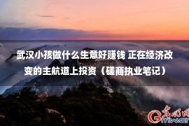 武汉小孩做什么生意好赚钱 正在经济改变的主航道上投资（磋商执业笔记）