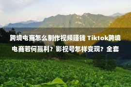 跨境电商怎么制作视频赚钱 Tiktok跨境电商若何赢利？影视号怎样变现？全套初学实操教程瓜分