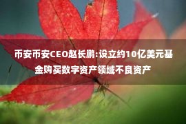 币安币安CEO赵长鹏:设立约10亿美元基金购买数字资产领域不良资产