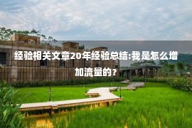 经验相关文章20年经验总结:我是怎么增加流量的？